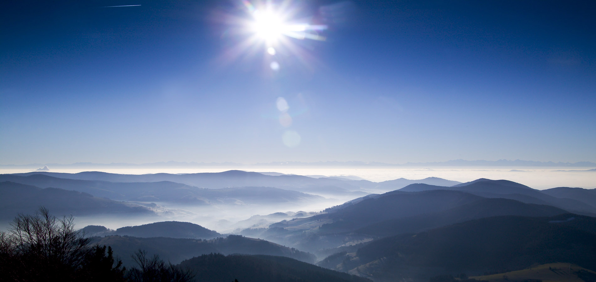 [Obrazek: Schwarzwald.jpg]